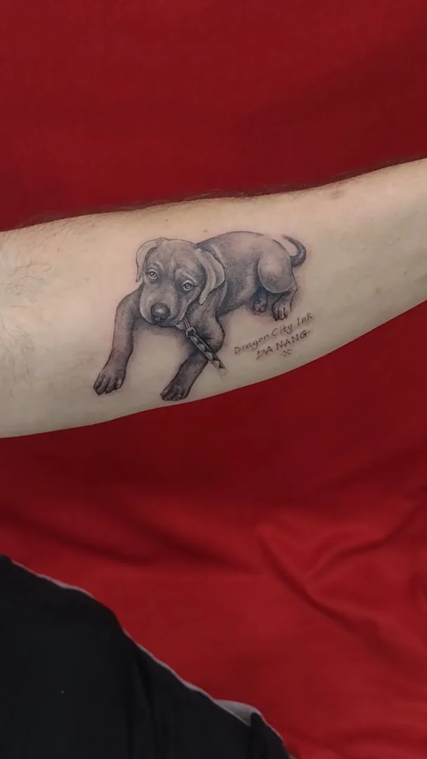 Dragon City Ink Tattoo & Piercing Studio