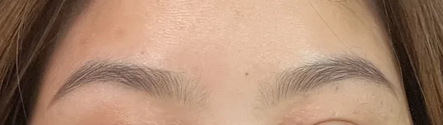 Quinnbrows - Natural Hairstroke Brows Danang