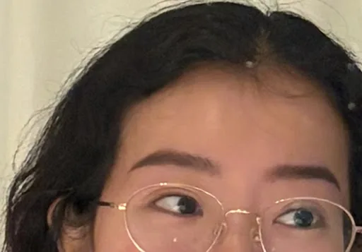 Quinnbrows - Natural Hairstroke Brows Danang