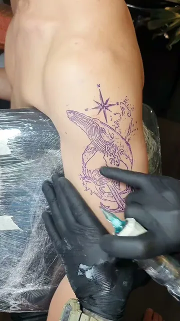 TAYLOR INK Tattoo studio