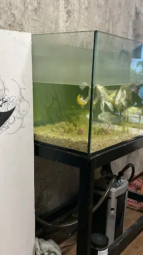 A105 Tattoo Studio