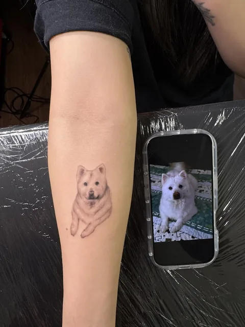 Black Cat Tattoo Studio