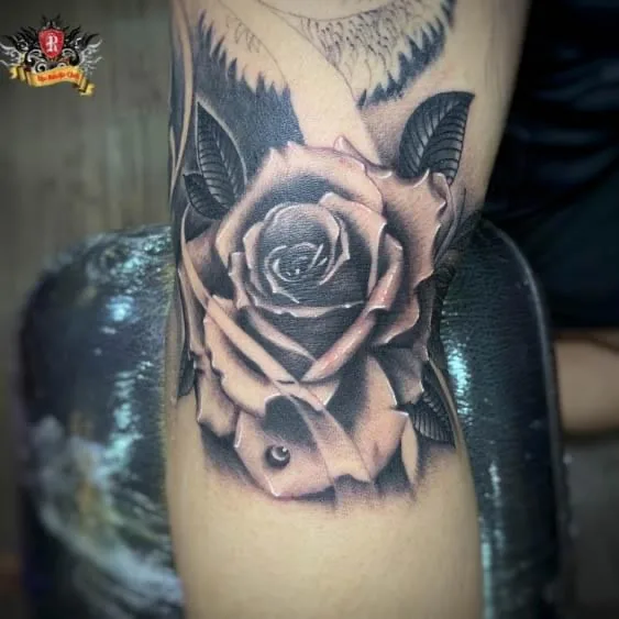 Rio Tattoo Studio