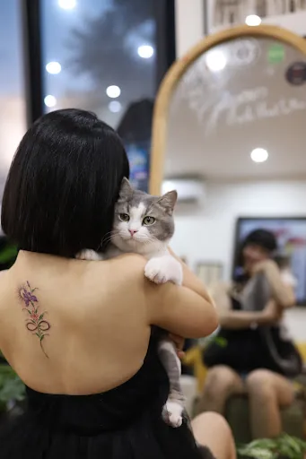 Ảnh đánh giá